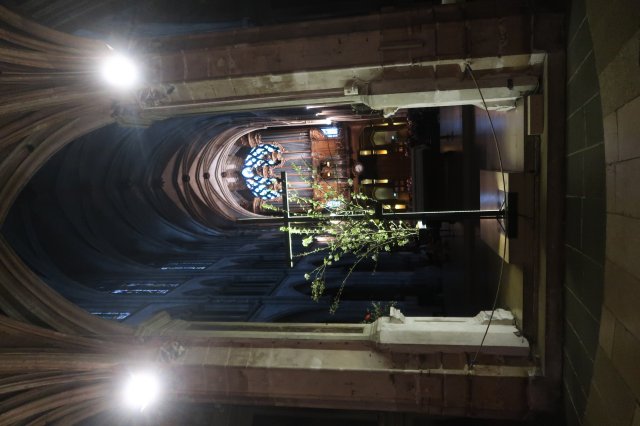 Orgelreise Paris 2025