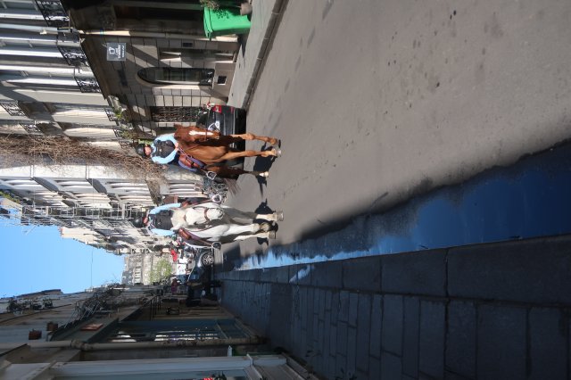 Orgelreise Paris 2025